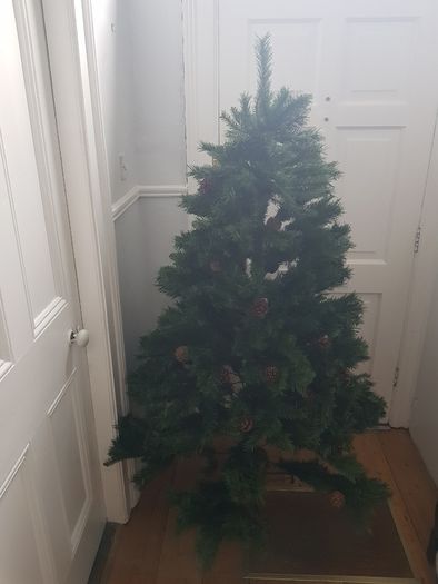 6ft Xmas tree, never used