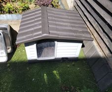 dog or cat outside plastic house