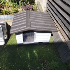 dog or cat outside plastic house