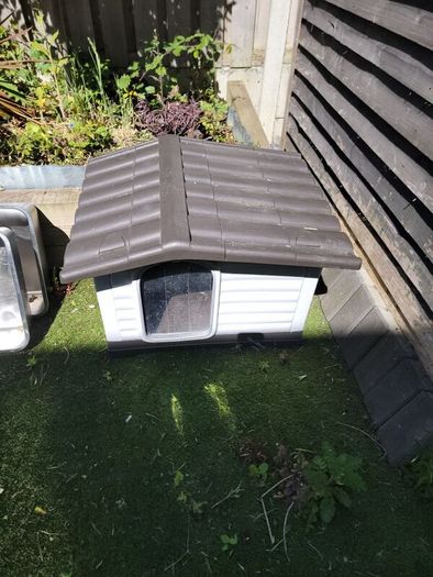 dog or cat outside plastic house