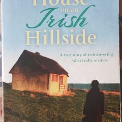 The House On The Irish Hillside by Felicity Hayes-McCoy