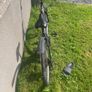 bicycle Image 4