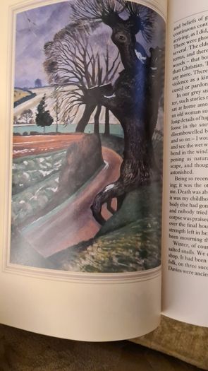 Cider With Rosie By Laurie Lee.   BEAUTIFUL ILLUSTRATED  EDITION 1989. Hardback With Dustjacket In Very Good Condition. Large Volume Book.