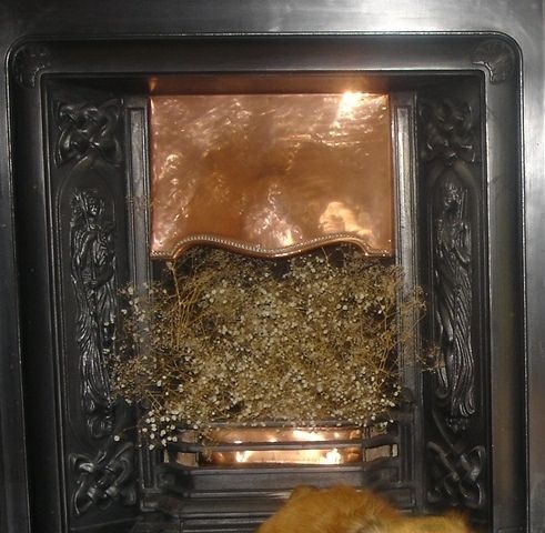 Fireplace Insert