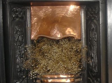 Fireplace Insert