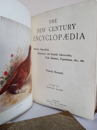 The New Century Encyclopaedia: Historical, Geographical, Biographical, and Scientific Information, Trade Statistics, Populations etc., Edited by R. W. Egerton Eastwick (Vols 6,7,8,9 &10) (PT261)