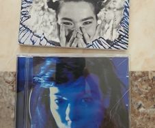 Bjork 2CD Lot
