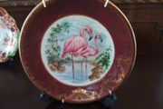 Falconware Collectors Plate
