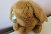 Rabbit Teddy Bear Plush Soft Toy
