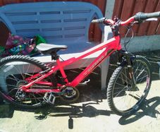 Team bike for kids