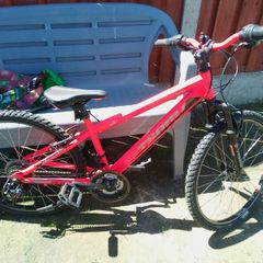 Team bike for kids