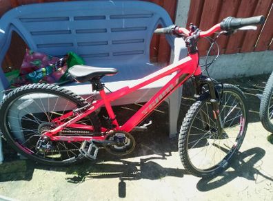 Team bike for kids