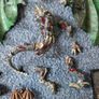 Warhammer Zecharias the Everliving Image 3