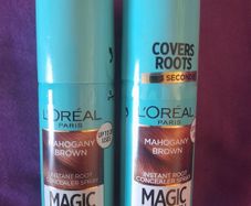 2 bottles of L'oreal paris hair spray (unopened)