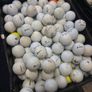 100 Golf Balls Image 5