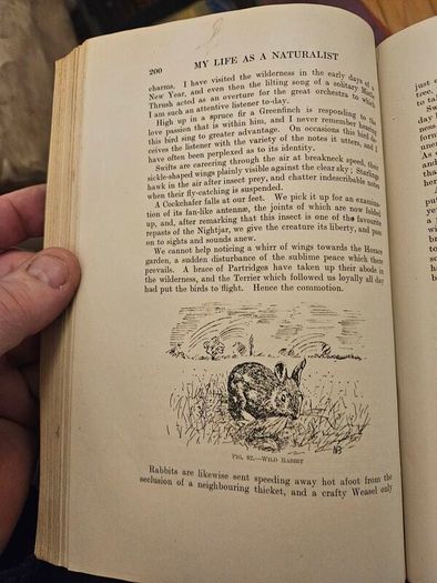 My Life As A Naturalistic. By W. Percival Westell. First Edition 1918 Hardback In Fair Condition.  See Photos For Same.