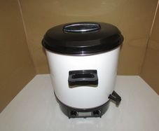 AFK Electric fruit preserving cooker 27L
