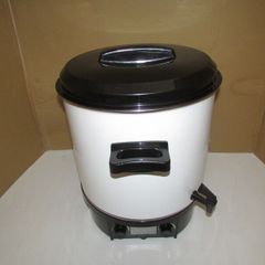 AFK Electric fruit preserving cooker 27L