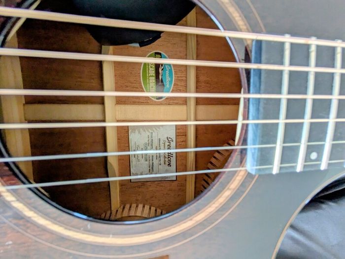 Breedlove Concert Pro guitar.Trade or Cash?