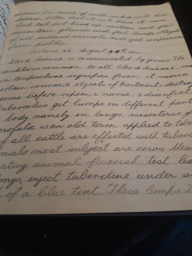 two hand written books