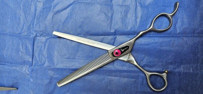 dog grooming scissors