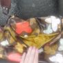 OiOi nappy bag (post included) Image 10