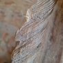 Vintage handcarved pair of horses Image 3