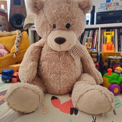 Big teddy bear