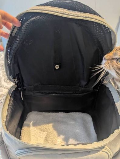 Sightseer Backpack Pet Carrier
