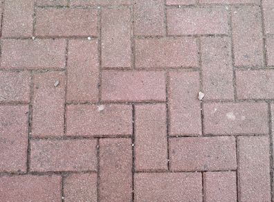 Paving bricks
