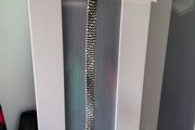 Boys belt