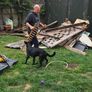 Hardwood timber Image 4