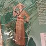 Brand New Adult Oriental Costume - Size M/L (Atosa) Image 3