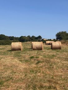 25 round bale of hay