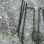 crowbars Image 3