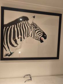 Zebra picture
