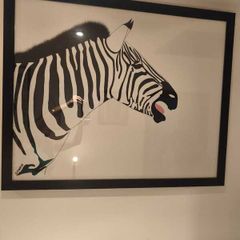 Zebra picture