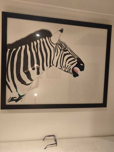 Zebra picture