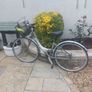 Ladys Bicycle Image 2