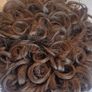 Camelia. Rose Wig Image 5