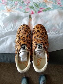 Sam Edelman Talia Trainers Leopard