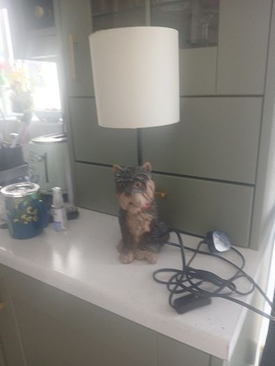 doggy lamp