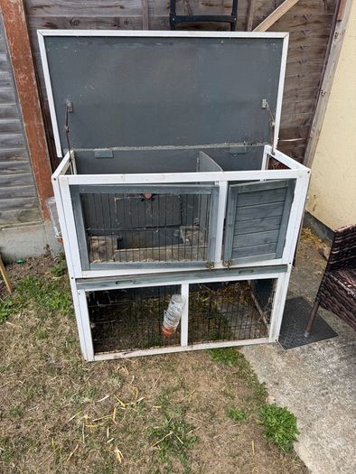 rabit cage