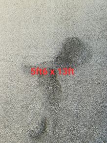 carpet 5ft6 x 13ft