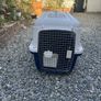 IATA-approved pet carrier - small/medium dogs - mint condition Image 4