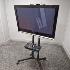 Plasma TV + Presentation Stand