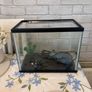fishtank Image 3