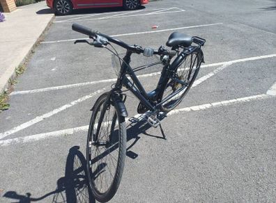 Raleigh Womens Bike