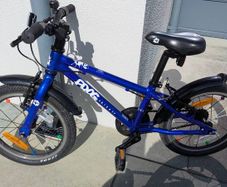 Frog bike