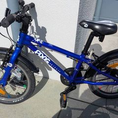 Frog bike